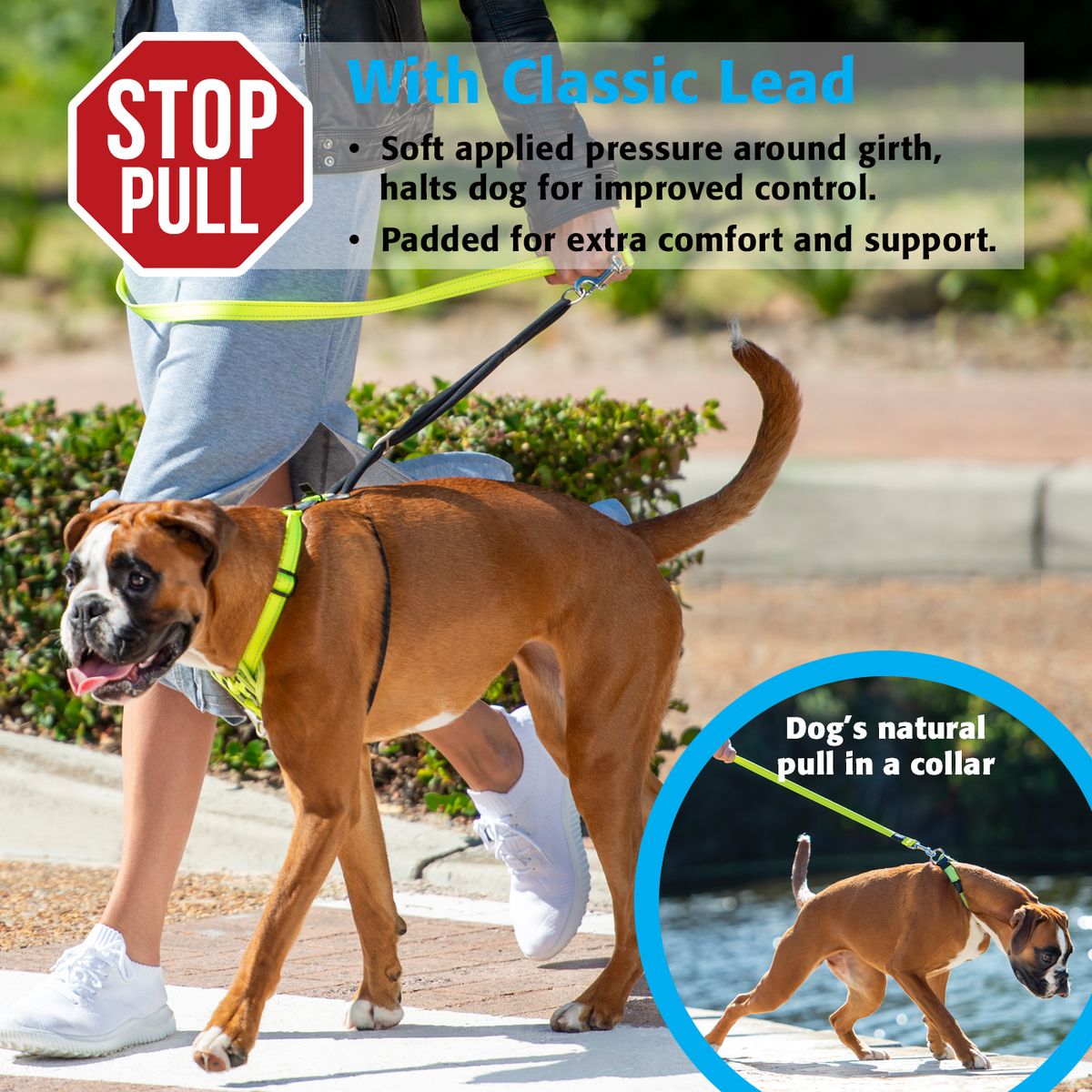 stop pull lead