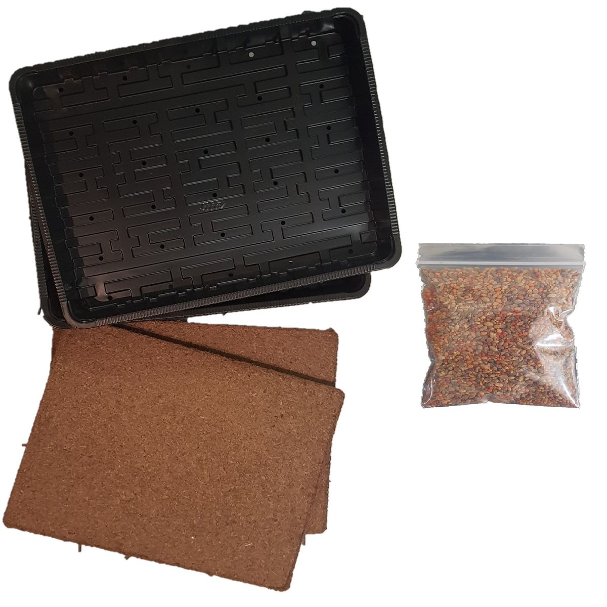 Easy Grow Microgreen Plate & Tray Kit 2 pack with lettuce and rocket