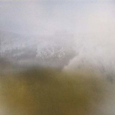 Richard Skelton - Landings (CD)