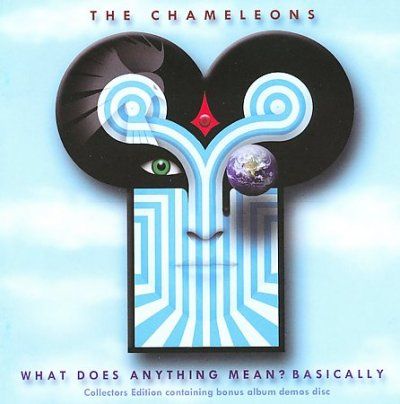 What Does Anything Mean Basically - (Import CD)