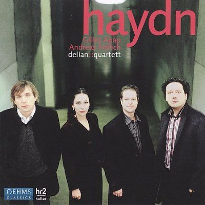 Franz Joseph Haydn - Haydn: String Qt Piano Cto Concert For (CD)