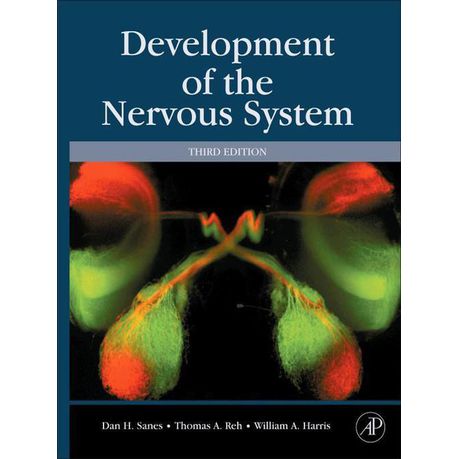 Development Of The Nervous System Sanes 3rd Edition Pdf